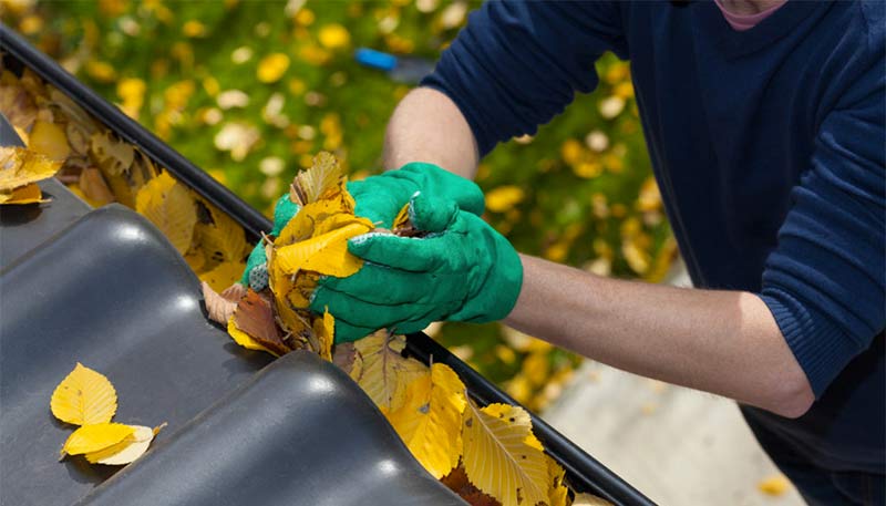 Zinguerie Gouttières : Pose et nettoyage de tous types de gouttières. Pose de pare feuilles. Intervention Sur LOUVAIN en Belgique - VP TOITURE FAÇADE LOUVAIN