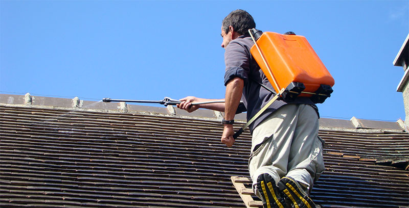 Nettoyage et Démoussage toiture : Solution de nettoyage de toiture professionnelle et produit antimousse. Sur LOUVAIN en Belgique  - VP TOITURE FAÇADE LOUVAIN