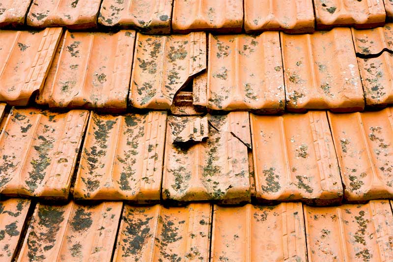 Travaux Couverture : Remplacement toiture, détection et réparation de fuites toiture tuiles. faîtage. Sur LOUVAIN en Belgique - VP TOITURE FAÇADE LOUVAIN